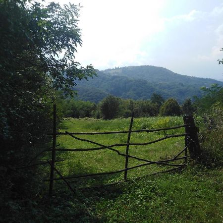Guesthouse Smiljanic Slavkovica 外观 照片
