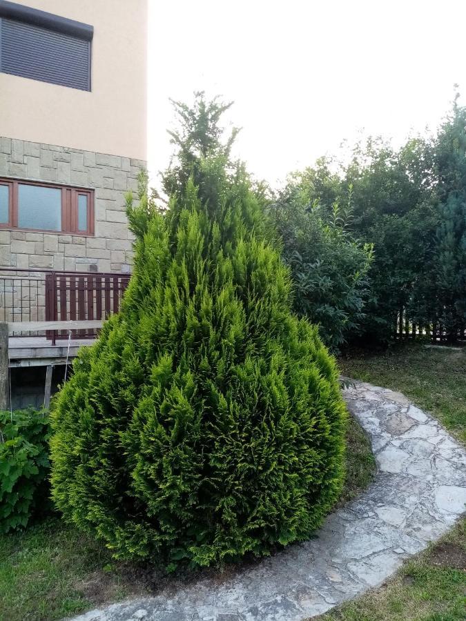 Guesthouse Smiljanic Slavkovica 外观 照片