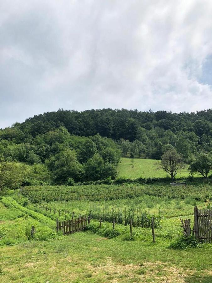 Guesthouse Smiljanic Slavkovica 外观 照片