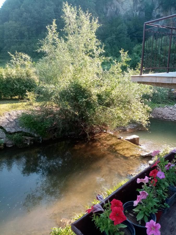 Guesthouse Smiljanic Slavkovica 外观 照片