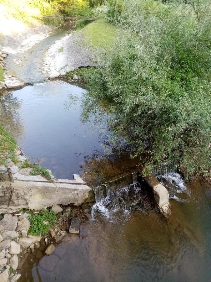 Guesthouse Smiljanic Slavkovica 外观 照片