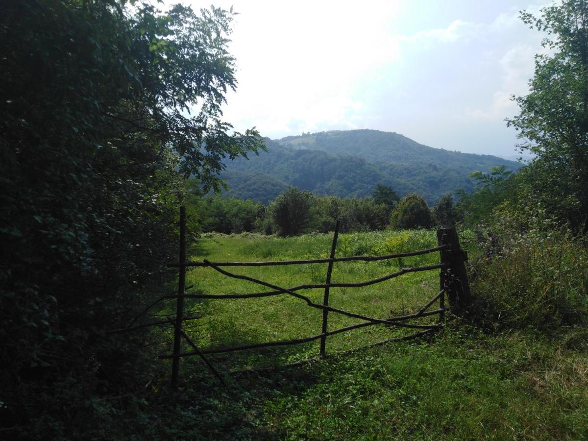 Guesthouse Smiljanic Slavkovica 外观 照片