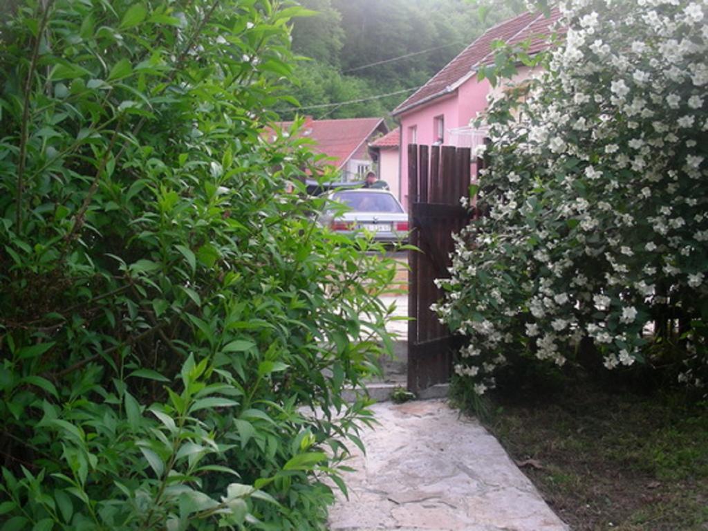 Guesthouse Smiljanic Slavkovica 外观 照片