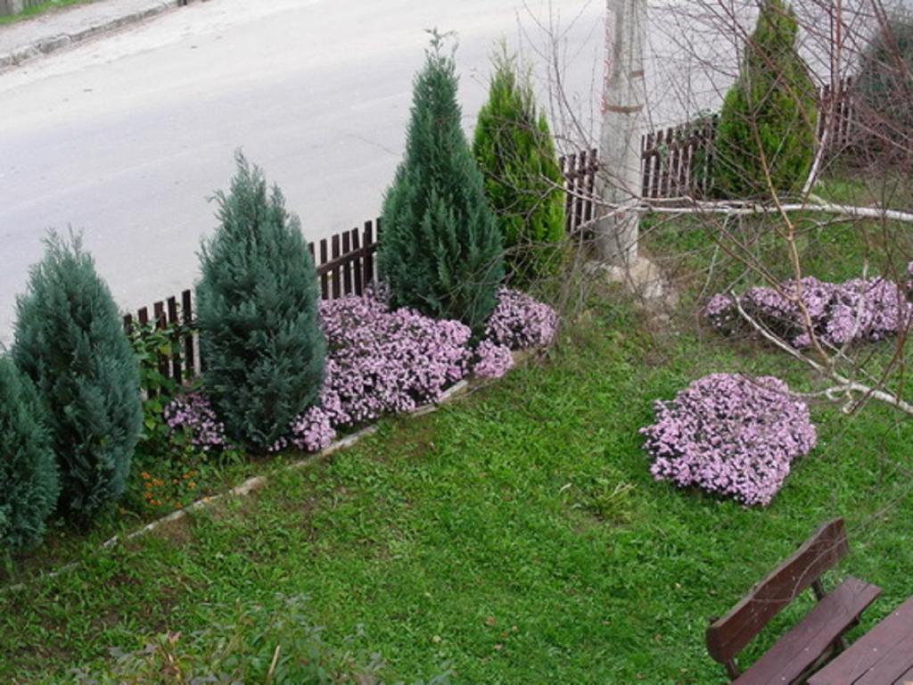 Guesthouse Smiljanic Slavkovica 外观 照片