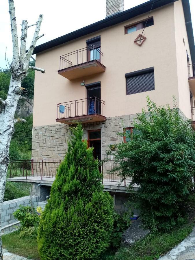 Guesthouse Smiljanic Slavkovica 外观 照片